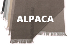 alpaca_algemeen