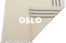 oslo_algemeen